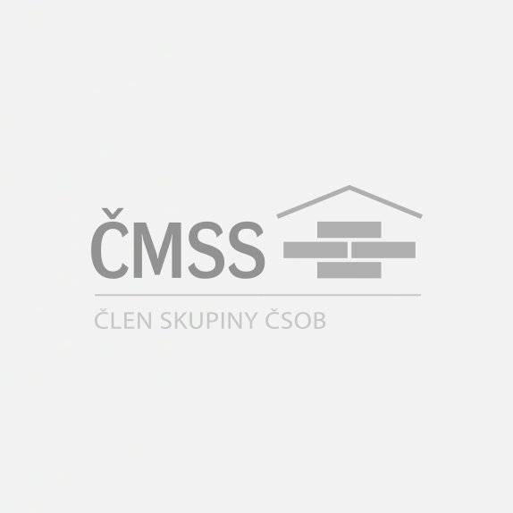 ČMSS